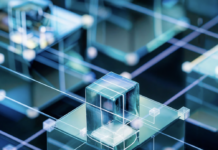 Organización institucional en la atención a las enfermedades raras