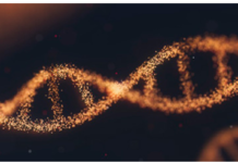 IMPaCT-GENÓMICA impulsa un salto en los diagnósticos genéticos de enfermedades raras