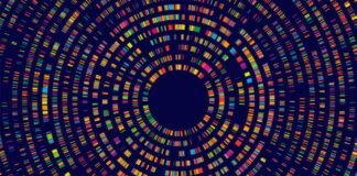 DESARROLLAN LA PRIMERA INTELIGENCIA ARTIFICIAL CAPAZ DE DIAGNOSTICAR ENFERMEDADES ULTRA-RARAS SIN NECESIDAD DE INFORMACIÓN FAMILIAR