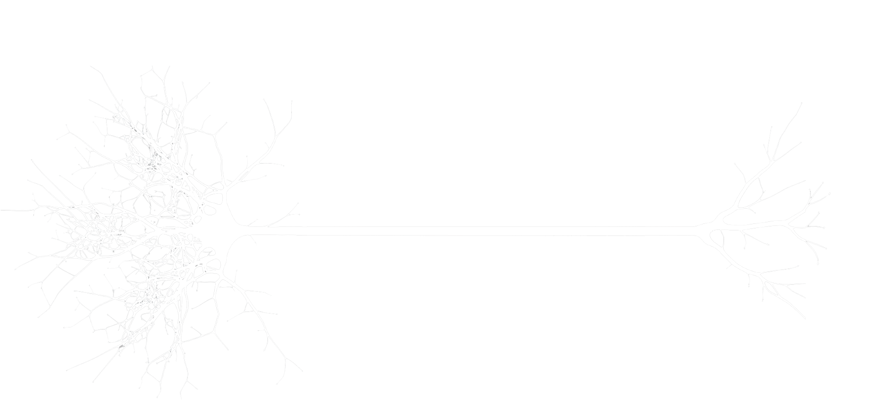 Logo internacional management Welfare nuevo BLANCO